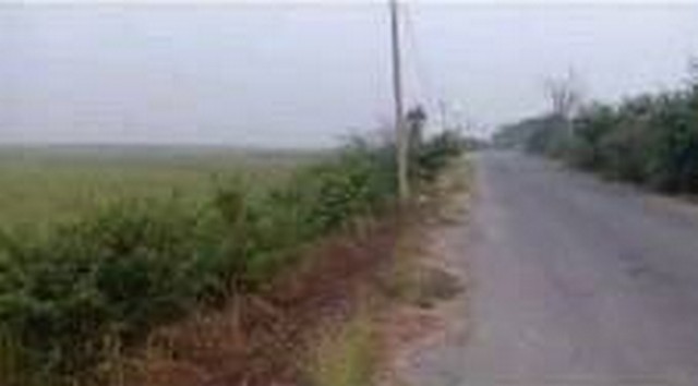 พฤษภาแห่งการซื้อทรัพย์ดีน่าลงทุน ขายที่ดิน 4ไร่เศษ ติดถนนคอนกรีต ต.มหาราช อ.มหาราช จ.อยุธยา