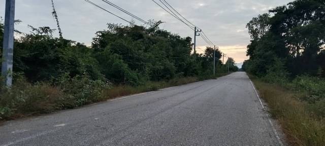 พฤษภาแห่งการซื้อทรัพย์น่าลงทุน ขายที่สวยติดทางหลวง1107 บ้านตาก จ.ตาก คมนาคมสะดวก ไร่ละ 300000 ต.ตากตก อ.บ้านตาก  จ.ตาก  0837124115