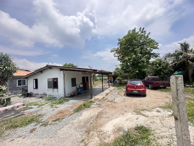 ที่ดินแปลงเล็ก มีบ้านตั้งอยู่สองหลัง ยื่นกู้ธนาคารได้ เหมาะสำหรับคนรักธรรมชาติเป็นอย่างมาก