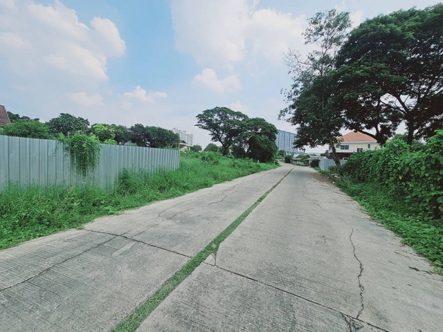 ขายที่ดินถมแล้ว 134 ตร.ว. ซ.เพชรเกษม 66 ห่าง MRT บางแค 400 ม. ผังสีแดง ทำเลดี ใกล้ถนนใหญ่ เพียง 4.5 ล้าน