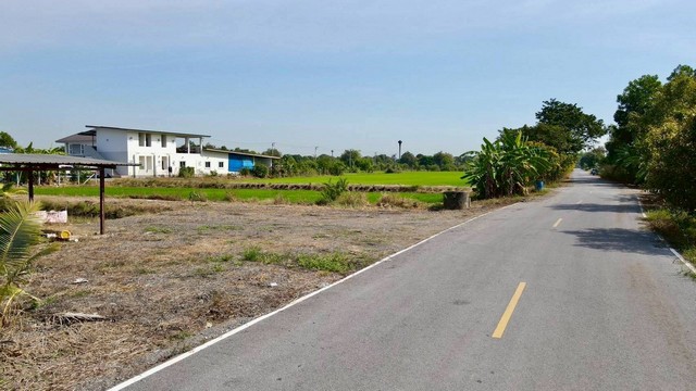 ที่ดินสวย ทำเลดี ติดถนนลาดยาง 237 ตรว. 980,000.- คลอง 11 หนองเสือ ปทุมธานี