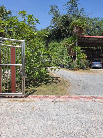 ขายที่ดิน 500 ตารางวา พร้อมบ้านและสวนกระท่อมใกล้แยกนพวงค์ ปทุมธานี (11)