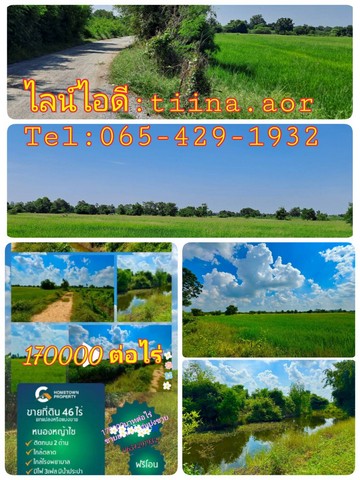 ขายที่ดินอำเภอหนองหญ้าไซ จังหวัดสุพรรณบุรี เนื้อที่ 46 ไร่ 1 งาน 64 ตารางวา
