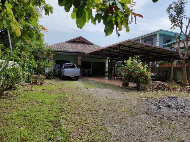 ขายบ้านเดี่ยว 1 ชั้น ต.หนองควาย อ.หางดง จ.เชียงใหม่  เนื้อที่ 154 ตารางวา 