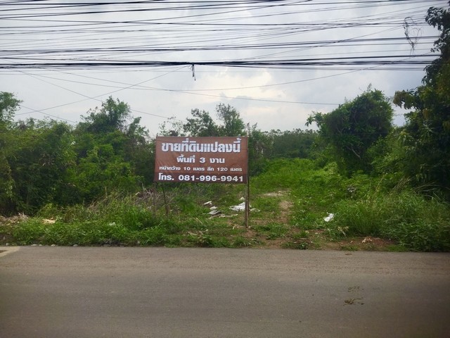 ขายที่ดินทำเลทอง ใกล้แหล่งชุมชน-นิคมอุตฯ 304 อ.ศรีมหาโพธิ จ.ปราจีนบุรี เนื้อที่ 3 งาน