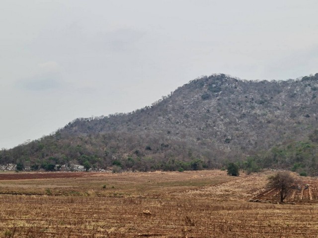 แค่วางดาวน์ก็มีโอกาสเป็นเจ้าของ ที่ดินติดภูเขา ต.พระนอน อ.เมือง จ.นครสวรรค์ วิวสวยมากๆๆ 5ไร่เศษ โทร 096-882-1857