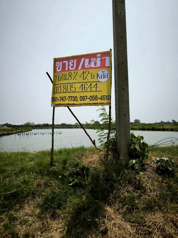 ขายที่ดิน 8-2-42 ไร่ ใกล้แก้มลิง ถ.เจษฎาวิถี  โคกขาม เมืองสมุทรสาคร  ZW560