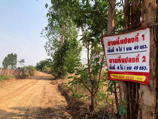ขายที่ดินติดถนนสาธารณะ บ้านหนองตะแบก  ตำบลสำโรง อำเภอปักธงชัย  นครราชสีมา
