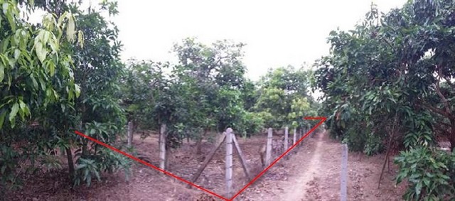 ขายที่ดินว่างเปล่ามือสอง     บ้านเหล่ายาวเหนือ ลำพูน