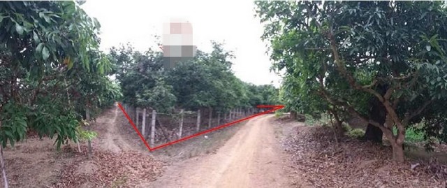 ขายที่ดินว่างเปล่ามือสอง     บ้านเหล่ายาวเหนือ ลำพูน