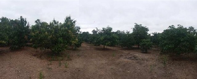 ขายที่ดินว่างเปล่ามือสอง     บ้านเหล่ายาวเหนือ ลำพูน