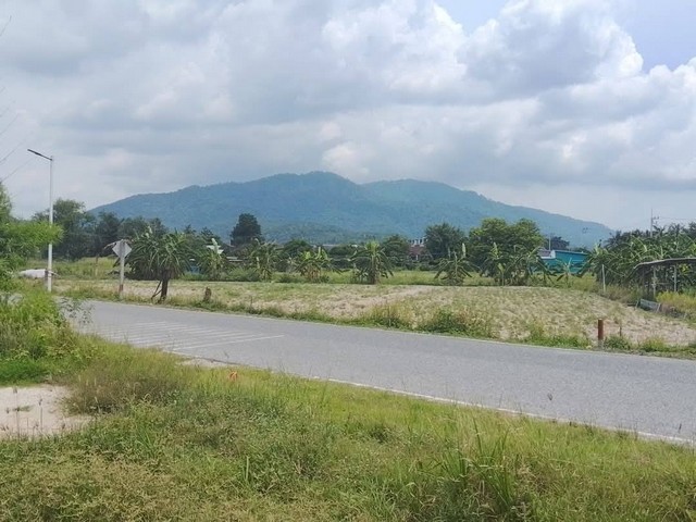 ที่ดินถมแล้วราคาถูกบ้านบึง  ???? เหมาะสำหรับปลูกบ้าน  ????เนื้อที่100ตรว.