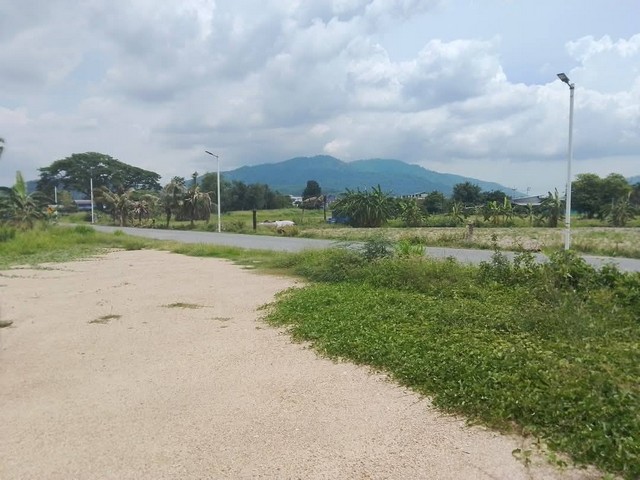 ที่ดินถมแล้วราคาถูกบ้านบึง  ???? เหมาะสำหรับปลูกบ้าน  ????เนื้อที่100ตรว.