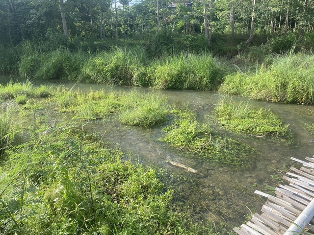 แค่วางดาวน์ก็มีโอกาสเป็นเจ้าของ  ขายที่ดินติดลำธารน้ำใสไหลริน ชุ่มฉ่ำตลอดปี สวยวิวล้าน 800000บาท 3-0-35ไร่ อำเภอสันติสุข น่าน