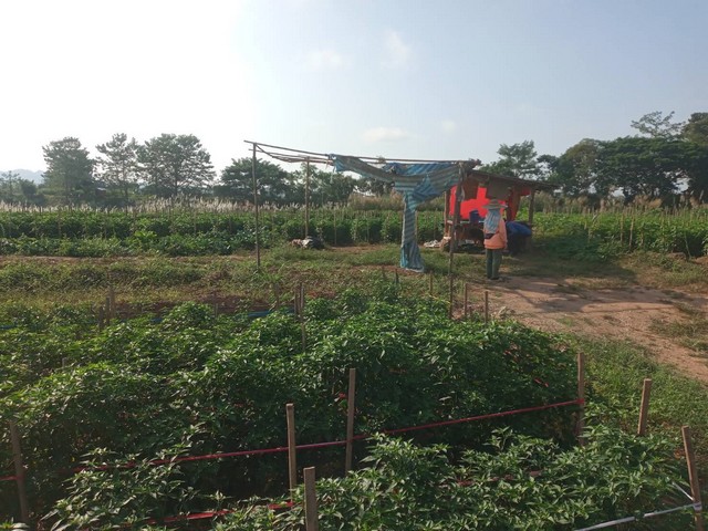 แค่วางดาวน์ก็มีโอกาสเป็นเจ้าของ  ที่สวยติดแม่น้ำน่าน น้ำใสไหลรินตลอดปี  ต.ศรีภูมิ อ.ท่าวังผา จ.น่าน ขาย 800000  วิวดีสวยมาก 0968821857