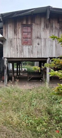 แค่วางดาวน์ก็มีโอกาสเป็นเจ้าของ  ขายบ้านไม้ จ.สิงห์บุรี  วิถีไทย  ต.โพทะเล วิถีไทย 262 วา ต.โพทะเล อ.ค่ายบางระจัน สิงห์บุรี 500000บาท