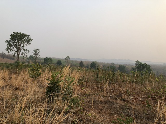 แค่วางดาวน์ก็มีโอกาสเป็นเจ้าของ  ด้วยทรัพย์ดีทวีมูลค่า ธรรมชาติเนินเขา ที่ดินโฉนดแบ่งขาย หล่มเก่า เพชรบูรณ์ ใกล้ภูทับเบิก โทร 0968821857