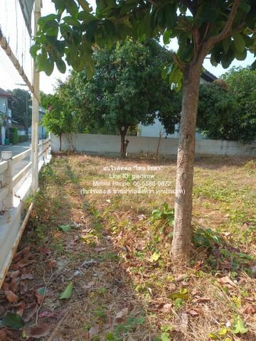 ที่ดิน ขายที่ดินเปล่าถมแล้ว ซ.ลาดพร้าว 94 (ตรงข้ามห้างอิมพิเรียล เวิลด์ ลาดพร้าว) 88 ตร.ว. ราคา 15 ล้านบาท (โอนฟรี)  ใหญ่ขนาด 88 SQ.WA 0 ngan 0 Rai  12500000 thb ใกล้ บิ๊กซี ลาดพร้าว 1 และห้างอิมพิเรียล เวิลด์ ลาดพร้าว พื้้นที่กว้างขวาง กรุงเทพ