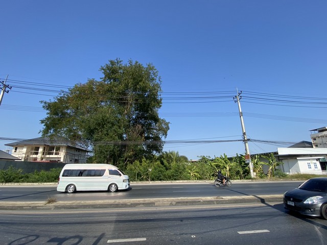 ขายที่ดินย่านนครปฐมศาลายาติดถนน4เลนใกล้ร.ร.พระตำหนักสวนกุหลาบตลาดกิเลน