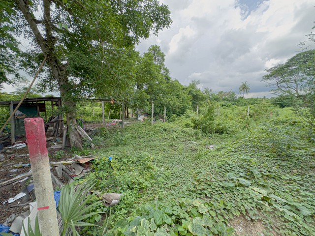 ที่ดินปากเกร็ด  85 ตร.วา ทำเลดี ราคาต่ำกว่าตลาด ใกล้รถไฟฟ้าสีชมพูใกล้วัดป่าเลไลย์ ปากเกร็ด นนทบุรี