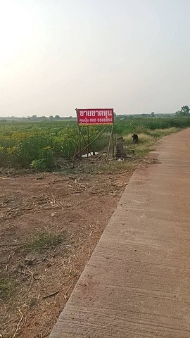 ขายที่ดิน 21 ไร่ วิวภูเขา ติดทางสาธารณะ 2 ด้าน ถมแล้ว ใกล้แม่น้ำกรอง ต.กลอนโด ด่านมะขามเตี้ย กาญจนบุรี