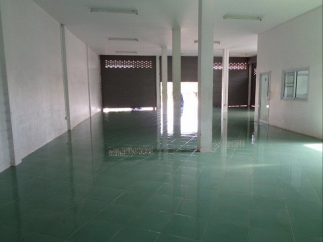 ขายบ้านเดี่ยวมือสอง     อำเภอกุฉินารายณ์  กาฬสินธุ์