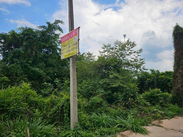 ขายด่วน ที่ดิน 88 ตารางวา  ใกล้ ร.ร.โคกสีพิทยาสรรค์   หนองตูม  เมืองขอนแก่น