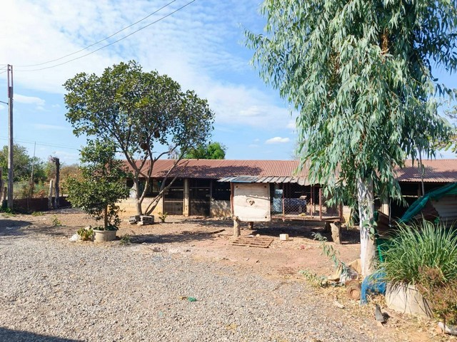 ขายบ้านพร้อมที่ดิน 9 ไร่ 3 งาน 15 ตารางวา  วิวสวย บรรยากาศดี พร้อมเข้าอยู่  ศรีเทพ เพชรบูรณ์