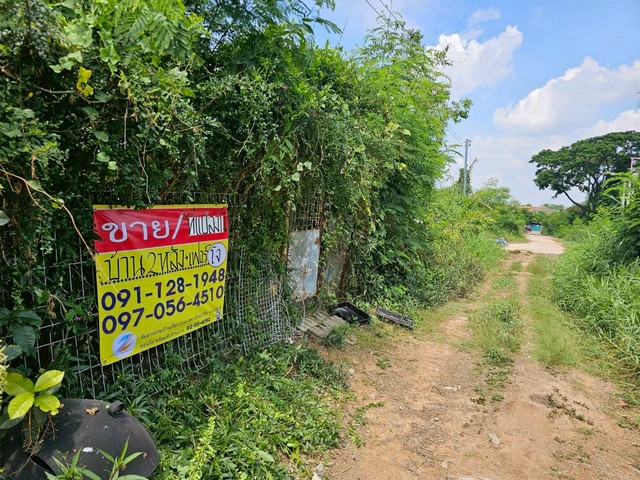 ขายที่ดิน 150วา พร้อมสิ่งปลูกสร้าง 2หลัง  ซ.รพช.-หนองไผ่  ใกล้วราสิริ  หนองไผ่  ขอนแก่น