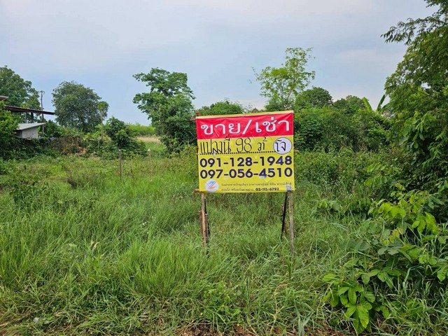 ขายด่วน ที่ดิน 98 ตารางวา   ใกล้ร.ร.โคกสีพิทยาสรรค์  หนองตูม  เมืองขอนแก่น