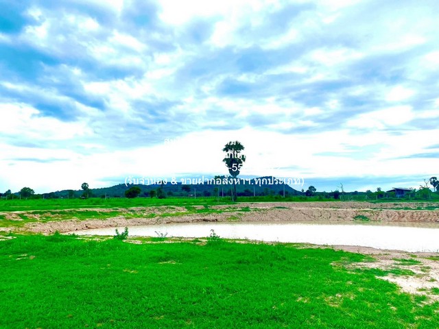 พื้นที่ดิน ขายที่ดินจัดสรรแปลงใหญ่ พร้อมทะเลสาบ (ติดถนนหลัก และติดถนนรอง) อู่ทอง จ.สุพรรณบุรี 60-3-0 ไร่ ราคา 23 ล้าน ไม่ไกลจาก เซ็นทรัล เวสต์เกต 120 กม. (1.5 ชั่วโมง) 23000000 THAI BAHT  ขนาดพื้นที่ 30 ตร.ว. 0 ngan 60 Rai ราคานี้รีบจอง