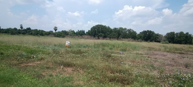 [ขาย] ที่ดิน 2 แปลง | 5-3-49 ไร่ และ 5-3-44 ไร่ | ใกล้วัดมณีวงศ์ | ไร่ละ 1.4 ล้าน