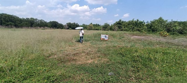 [ขาย] ที่ดิน 2 แปลง | 5-3-49 ไร่ และ 5-3-44 ไร่ | ใกล้วัดมณีวงศ์ | ไร่ละ 1.4 ล้าน