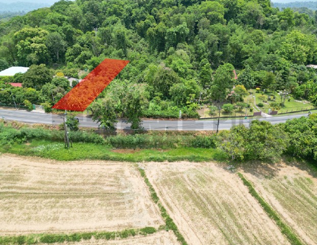 ขายที่ดินติดถนนหลวง เนื้อที่ 142 ตารางวา สาริกา นครนายก ใกล้แม่น้ำนครนายก