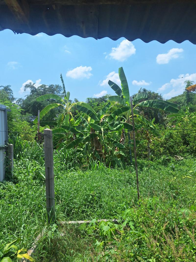 ขายที่ดินทำเลดี! ต.บึงเนียม อ.เมือง จ.ขอนแก่น  ขายที่ดินทำเลดี! ต.บึงเนียม อ.เมือง จ.ขอนแก่น