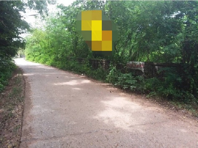 ขายที่ดินว่างเปล่ามือสอง     อำเภอยางตลาด  กาฬสินธุ์