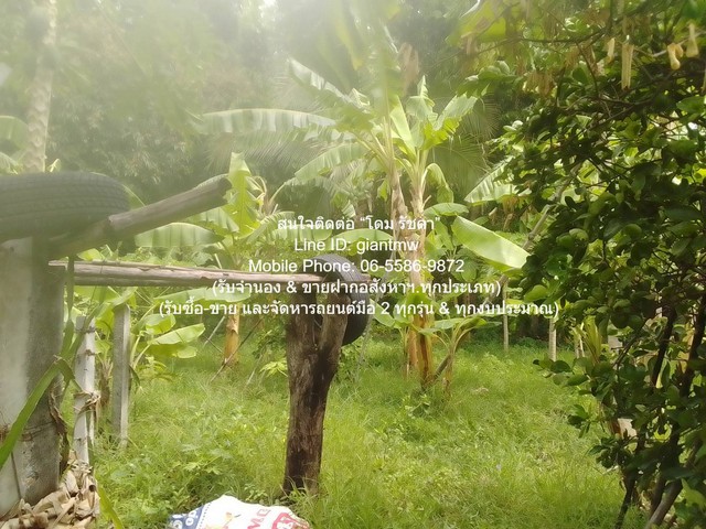 ให้เช่าที่ดินเกษตรกรรมผืนใหญ่ 3-0-27.3 ไร่ ถนนพิบูลสงคราม นนทบุรี ราคา 50,000 บาท/เดือน