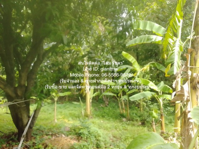 ขายที่ดินเกษตรกรรมผืนใหญ่ 3-0-27.3 ไร่ ถนนพิบูลสงคราม นนทบุรี ราคา 62 ล้านบาท 