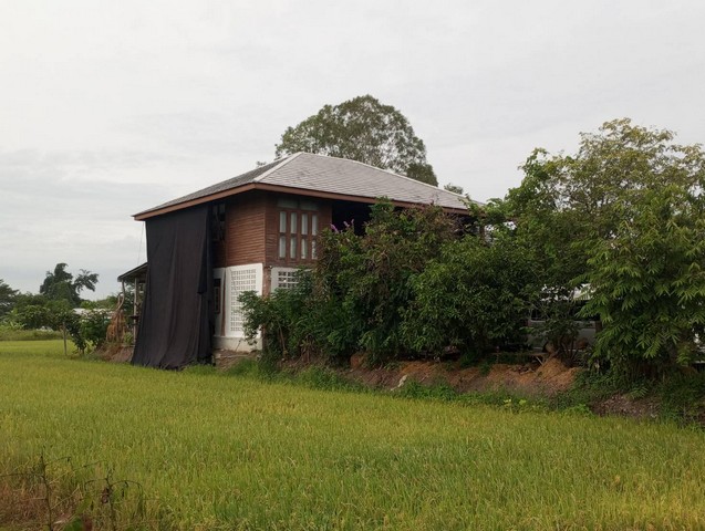 อย่าพลาดดีลเด็ดโปรดี ให้เช่าบ้านไม้ถ่ายหนังถ่ายละคร MV โฆษณา หนังสั้น คอนเท้นท์ บ้านสวยวิวทุ่งนา ไทรน้อย 0968821857