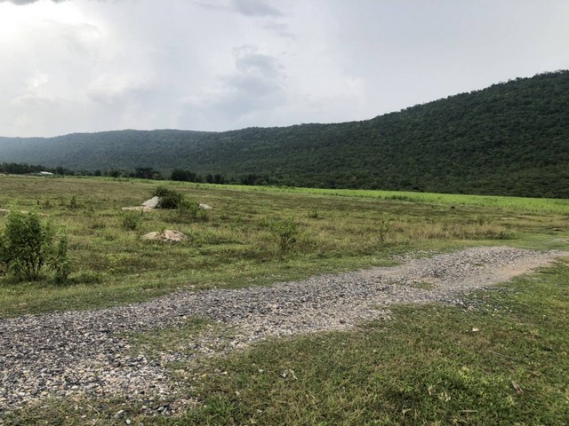 อย่าพลาดดีลเด็ดโปรดี  ขายที่ดินสวยติดภูเขา เทือกเขายาวเรียงแนว ดินดีสมบูรณ์ทรัพย์ในดิน ฟ้าใสวิวหลักล้าน ต.นาจาน อ.สีชมพู จ.ขอนแก่น 