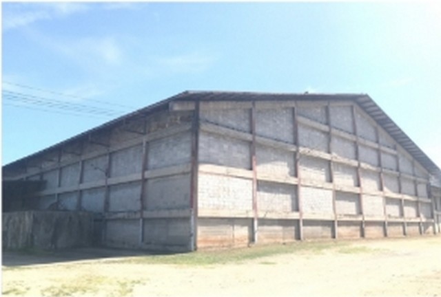  ให้เช่าโกดัง 2000 ตารางเมตร มี 4 หลังให้เลือก พิกัด ต.หนองรี อ.เมือง ชลบุรี ติดต่อAgent  : คุณเด่นชัย