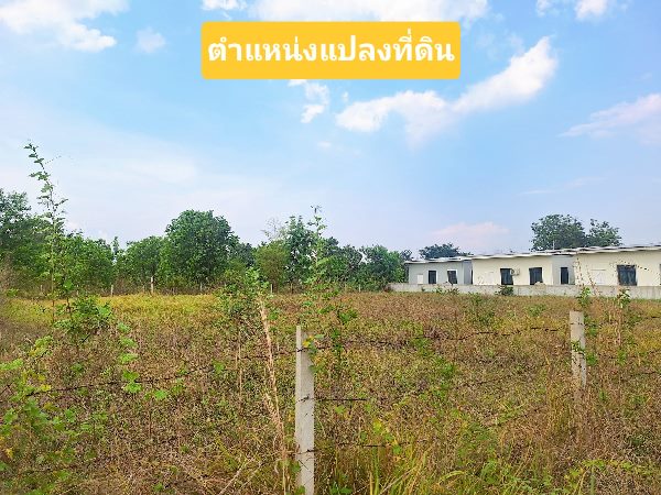 ขายที่ดินทำเลทอง! ซอยบ้านโนนม่วง ใกล้ มข. เพียงไม่กี่นาที เหมาะสำหรับปลูกบ้าน หอพัก หรือทำธุรกิจเดินทางสะดวก