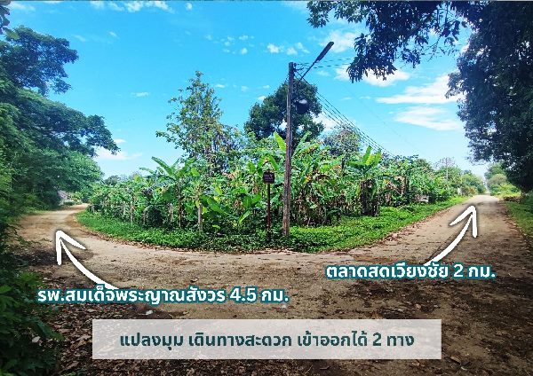 ขายที่ดินวิวเขา แปลงมุม เหมาะปลูกบ้าน ขนาด 384 ตร.ว. อ.เวียงชัย จ.เชียงราย ติดถนนคอนกรีต เดินทางสะดวก #R1C27692