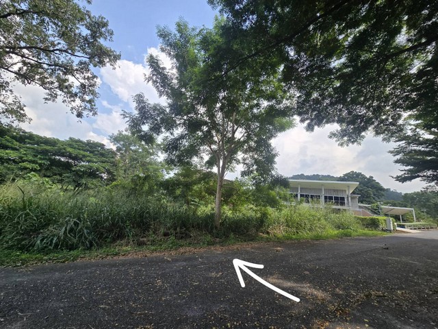 ที่ดิน ภูภัทรา เขาใหญ่  สะดวกต่อการเดินทาง แปลงมุม, ทำเลดี, ติดถนน 2 ด้าน