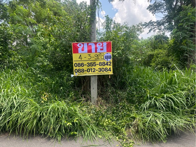 ขายที่ดิน 4-3-92 ไร่   หนองอิรุณ   บ้านบึง  ชลบุรี 