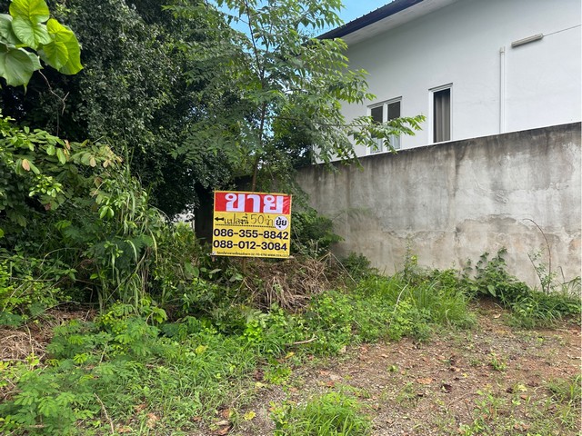 ขายที่ดิน 50 ตารางวา  ซอยวัดทุ่งโป่ง พลูตาหลวง สัตหีบ  ชลบุรี