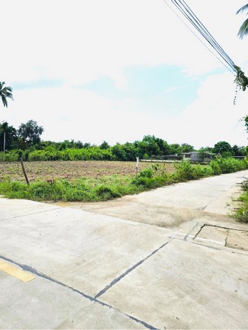 ขายที่ดิน 67 ตารางวา ซอยหนองหิน3  พัทยา  หนองปรือ บางละมุง  ชลบุรี