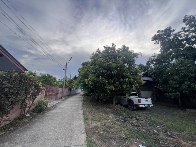 ขายที่ดิน เนื้อที่ 1 งาน 62 ตารางวา ต.ทองเอน อ.อินทร์บุรี จ.สิงห์บุรี