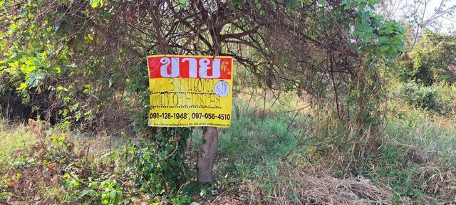 ขายด่วน ที่ดิน 360.5 ตารางวา ใกล้ห้วยหลัว ติดคำปุ่นคาเฟ่  เมืองชัยภูมิ  ZE811