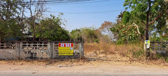 ขายด่วน ที่ดิน 1-0-07 ไร่  ใกล้ห้วยหลัว ติดคำปุ่นคาเฟ่ เมืองชัยภูมิ  ZE810 